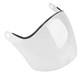 Pinnacle Visor  Full Face Clear